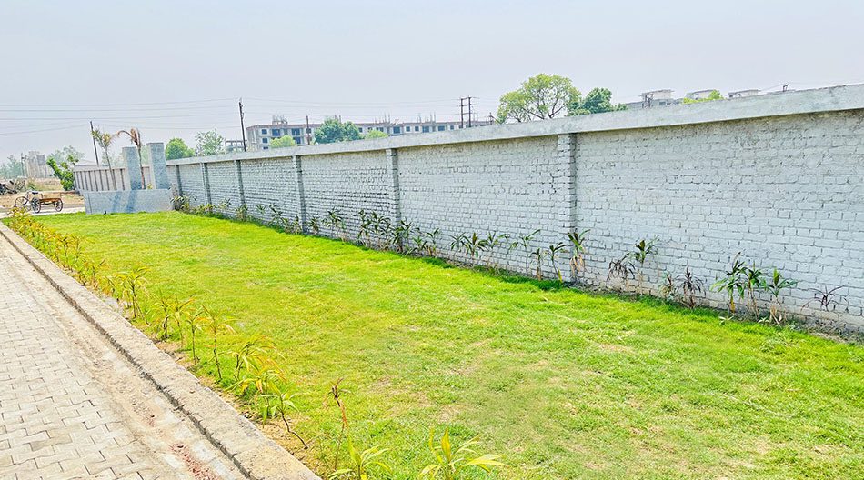 Lawn along the boundary wall