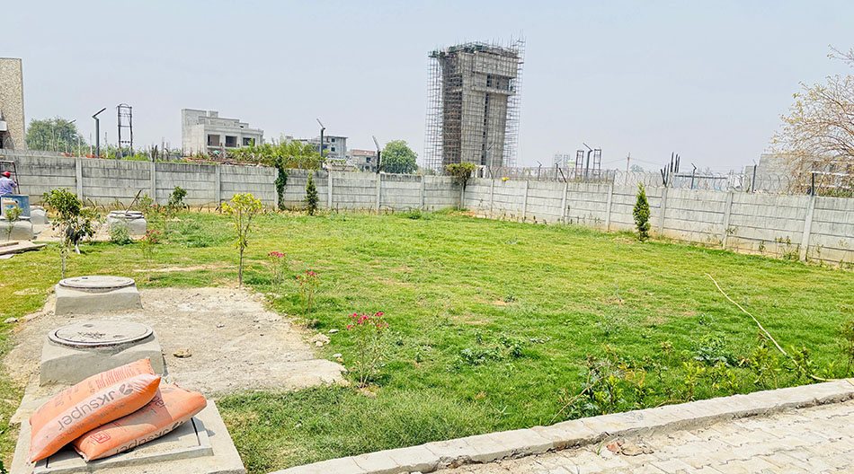 Green plot